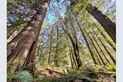 30 Little Strawberry Lane, Bellingham, WA 98229 - Photo 1