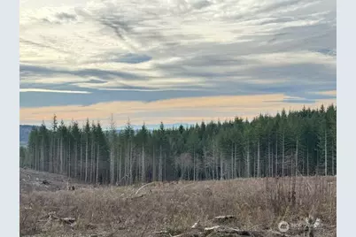 0 August Road, Onalaska, WA 98570 - Photo 1