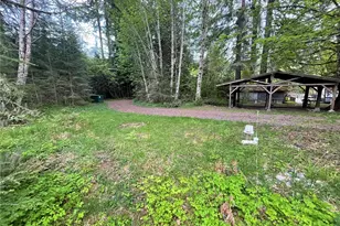 33823 State Route 706, Ashford, WA 98304 - Photo 1