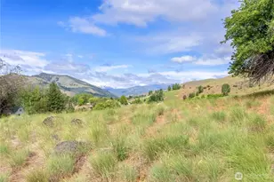 187 Twisp River Rd, Twisp, WA 98801 - Photo 1