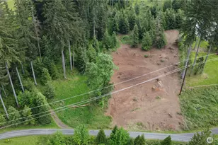 0 Dahlman Rd, Castle Rock, WA 98611 - Photo 1