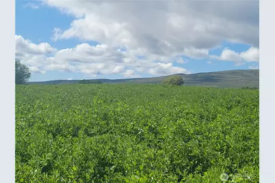 480 Kamiakin Road, Ellensburg, WA 98926 - Photo 1