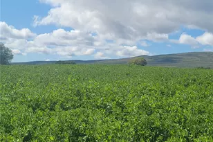 480 Kamiakin Rd, Ellensburg, WA 98926 - Photo 1