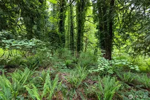 24118 177th St E, Orting, WA 98360 - Photo 1