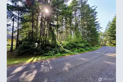 11011 & 11013 Cascade Place, Anderson Island, WA 98303 - Photo 1