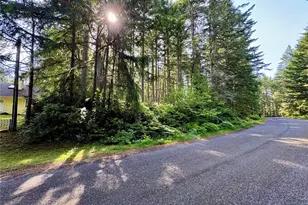 11011 & 11013 Cascade Pl, Anderson Island, WA 98303 - Photo 1