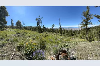 0 Xx Melvin Road, Waterville, WA 98858 - Photo 1