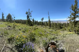 0 Xx Melvin Rd, Waterville, WA 98858 - Photo 1