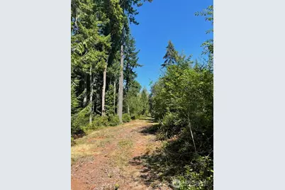 411 208th Avenue NW, Lakebay, WA 98349 - Photo 1