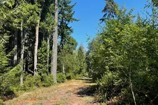 411 208th Ave NW, Lakebay, WA 98349 - Photo 1