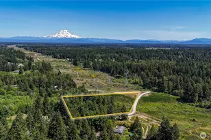 0 82nd Ave S, Roy, WA 98580 - Photo 1