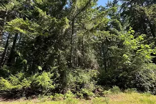 11311 115th St, Anderson Island, WA 98303 - Photo 1