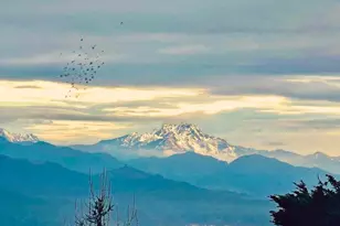 521 E Enchantment Dr, Union, WA 98592 - Photo 1