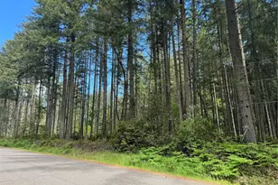 10409 Tahoma Dr Anderson Island, Anderson Island, WA 98303 - Photo 1