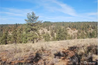 0 Hidden Meadows, Goldendale, WA 98620 - Photo 1