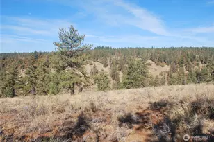 0 Hidden Meadows, Goldendale, WA 98620 - Photo 1