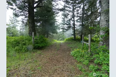 0 Tbd Tobys Mill Road, Tonasket, WA 98855 - Photo 1