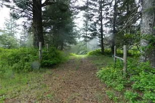 0 Tbd Tobys Mill Rd, Tonasket, WA 98855 - Photo 1