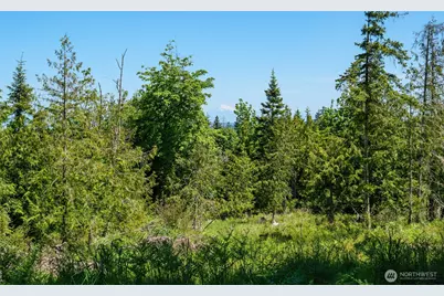 0 Little Loop Drive, Port Angeles, WA 98362 - Photo 1