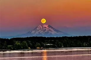 6600 Klein St NW, Olympia, WA 98502 - Photo 1