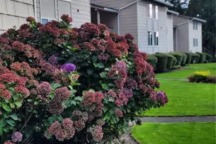 33010 17th Pl S, Federal Way, WA 98003 - Photo 1