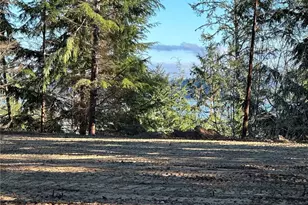 20520 Sandridge Rd, Ocean Park, WA 98640 - Photo 1