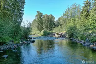 429 Mineral Creek Rd, Mineral, WA 98355 - Photo 1