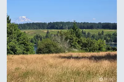 14528 45th Street SW, Lakebay, WA 98349 - Photo 1