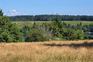 14528 45th St SW, Lakebay, WA 98349 - Photo 1