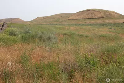 0 Allert Road, Washtucna, WA 99371 - Photo 1