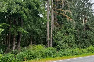 0 Mountain Loop Hwy, Granite Falls, WA 98252 - Photo 1