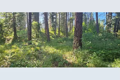 21815 Colt Road, Leavenworth, WA 98826 - Photo 1