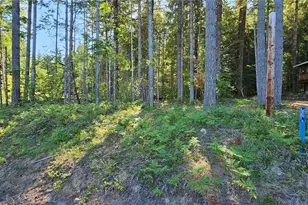 0 Terrace Way, Packwood, WA 98361 - Photo 1