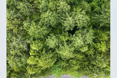 41 Pacific Lane #18, Pacific Beach, WA 98571 - Photo 1