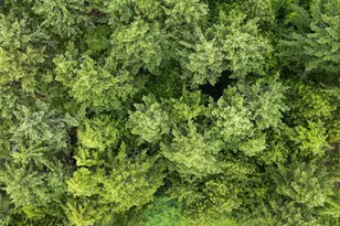 41 Pacific Ln, Pacific Beach, WA 98571 - Photo 1