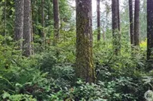 0 NW Holly Rd, Seabeck, WA 98380 - Photo 1