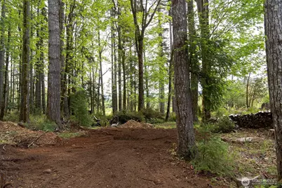 331 Rocky Brook Road, Brinnon, WA 98320 - Photo 1