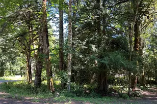 0 Mountain Trail, Brinnon, WA 98320 - Photo 1
