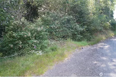 0 Nka Bigelow Drive, Aberdeen, WA 98520 - Photo 1