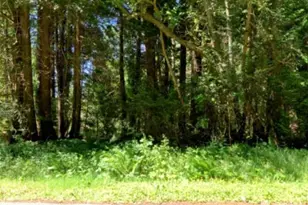 47 Claire Ln, Point Roberts, WA 98281 - Photo 1