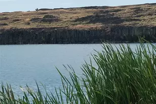 456 7 Springs Dairy Rd, Davenport, WA 99122 - Photo 1