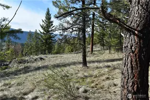 70 Excelsior Way, Curlew, WA 99166 - Photo 1