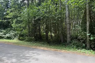 0 Harmony Ln, Mossyrock, WA 98564 - Photo 1