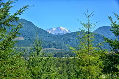 1 Skinner Road, Randle, WA 98377 - Photo 1