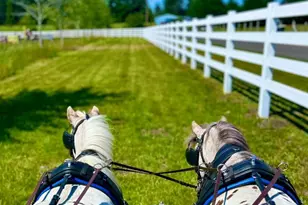 4711 176th Ave SW, Rochester, WA 98579 - Photo 1