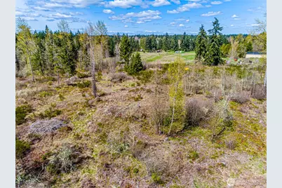 0 40th Avenue S, Roy, WA 98580 - Photo 1