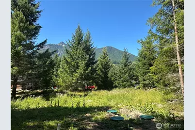 109 Jack Fir Court W, Packwood, WA 98361 - Photo 1