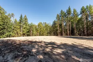 1 Lot Sunny Dell Ln, Sequim, WA 98382 - Photo 1