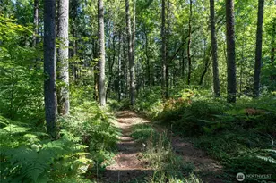 16404 Village Dr SE, Rainier, WA 98576 - Photo 1