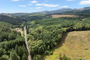 0 Pe Ell McDonald Rd, Pe Ell, WA 98572 - Photo 1